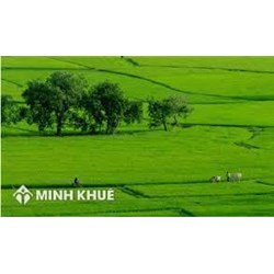 Mua bán, chuyển nhượng nhà đất cần những ai ký trên hợp đồng ?