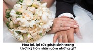 Hoa lợi, lợi tức phát sinh trong thời kỳ hôn nhân gồm những gì?