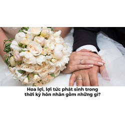 Hoa lợi, lợi tức phát sinh trong thời kỳ hôn nhân gồm những gì?
