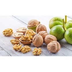Vitamin F là gì? Công dụng, lợi ích và thực phẩm giàu vitamin F