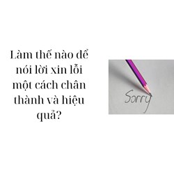 Làm thế nào để nói lời xin lỗi một cách chân thành và hiệu quả?
