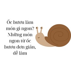 Ốc bươu làm món gì ngon? Những món ngon từ ốc bươu đơn giản, dễ làm