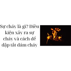 Sự cháy là gì? Điều kiện xảy ra sự cháy và cách để dập tắt đám cháy