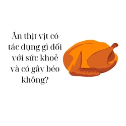 Ăn thịt vịt có tác dụng gì đối với sức khoẻ và có gây béo không?
