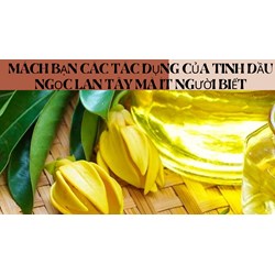 Mách bạn các tác dụng của Tinh dầu ngọc lan tây mà ít người biết