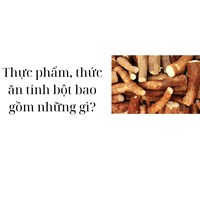 Thực phẩm, thức ăn tinh bột bao gồm những gì?