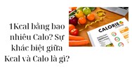 1Kcal bằng bao nhiêu Calo? Sự khác biệt giữa Kcal và Calo là gì?