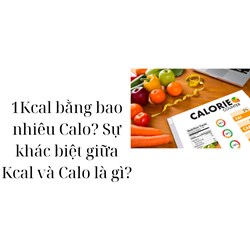 1Kcal bằng bao nhiêu Calo? Sự khác biệt giữa Kcal và Calo là gì?