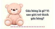 Gấu bông là gì? Vì sao giới trẻ thích gấu bông?