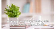 Hướng dẫn 12 vị trí việc làm công chức nghiệp vụ văn phòng mới nhất