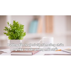Hướng dẫn 12 vị trí việc làm công chức nghiệp vụ văn phòng mới nhất