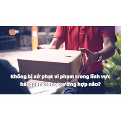 Không bị xử phạt vi phạm trong lĩnh vực hải quan trong trường hợp nào?