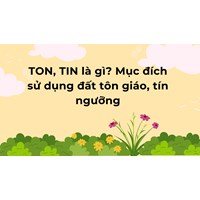 TON, TIN là gì? Mục đích sử dụng đất tôn giáo, tín ngưỡng