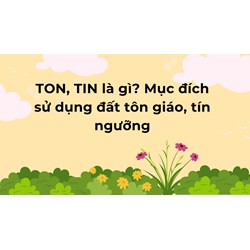 TON, TIN là gì? Mục đích sử dụng đất tôn giáo, tín ngưỡng