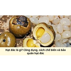 Hạt đác là gì? Công dụng, cách chế biến và bảo quản hạt đác