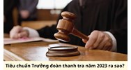Tiêu chuẩn Trưởng đoàn thanh tra theo quy định mới?