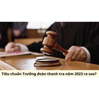 Tiêu chuẩn Trưởng đoàn thanh tra theo quy định mới?