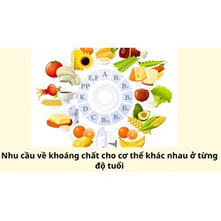 Nhu cầu về khoáng chất cho cơ thể khác nhau ở từng độ tuổi