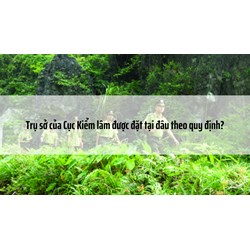 Trụ sở của Cục Kiểm lâm được đặt tại đâu theo quy định?