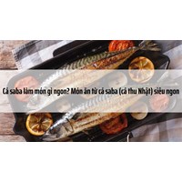 Cá saba làm món gì ngon? Món ăn từ cá saba (cá thu Nhật) siêu ngon