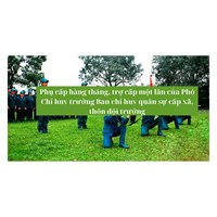 Phụ cấp hàng tháng, trợ cấp một lần của Phó Chỉ huy trưởng Ban chỉ huy quân sự cấp xã, thôn đội trưởng