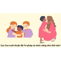 Cục Con nuôi thuộc Bộ Tư pháp có chức năng như thế nào?