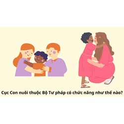 Cục Con nuôi thuộc Bộ Tư pháp có chức năng như thế nào?