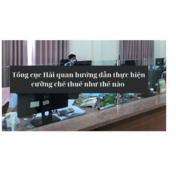 Tổng cục Hải quan hướng dẫn thực hiện cưỡng chế thuế như thế nào
