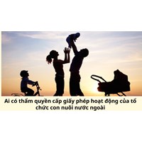 Ai có thẩm quyền cấp giấy phép hoạt động của tổ chức con nuôi nước ngoài