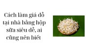 Cách làm giá đỗ tại nhà bằng hộp sữa siêu dễ, ai cũng nên biết