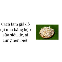 Cách làm giá đỗ tại nhà bằng hộp sữa siêu dễ, ai cũng nên biết