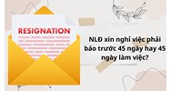 NLĐ xin nghỉ việc phải báo trước 45 ngày hay 45 ngày làm việc?