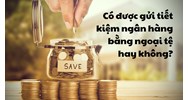 Có được gửi tiết kiệm ngân hàng bằng ngoại tệ hay không?