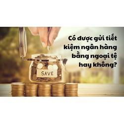 Có được gửi tiết kiệm ngân hàng bằng ngoại tệ hay không?