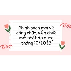 Chính sách mới về công chức, viên chức mới nhất đang áp dụng