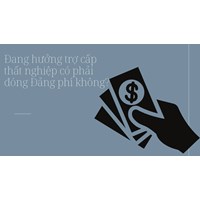 Đang hưởng trợ cấp thất nghiệp có phải đóng Đảng phí không?