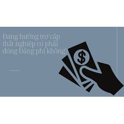 Đang hưởng trợ cấp thất nghiệp có phải đóng Đảng phí không?