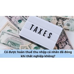 Có được hoàn thuế thu nhập cá nhân đã đóng khi thất nghiệp không?