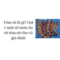 Tôm sú là gì? Gợi ý một số món ăn từ tôm sú cho cả gia đình