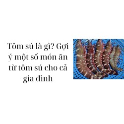 Tôm sú là gì? Gợi ý một số món ăn từ tôm sú cho cả gia đình
