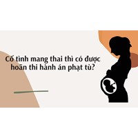 Cố tình mang thai thì có được hoãn thi hành án phạt tù?