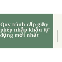Quy trình cấp giấy phép nhập khẩu tự động mới nhất