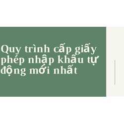Quy trình cấp giấy phép nhập khẩu tự động mới nhất