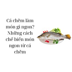 Cá chẽm làm món gì ngon? Những cách chế biến món ngon từ cá chẽm