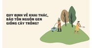 Quy định về khai thác, bảo tồn nguồn gen giống cây trồng?
