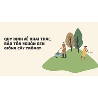 Quy định về khai thác, bảo tồn nguồn gen giống cây trồng?