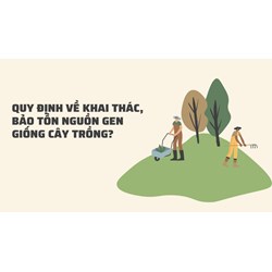 Quy định về khai thác, bảo tồn nguồn gen giống cây trồng?