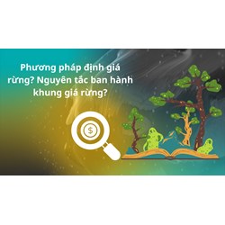 Phương pháp định giá rừng? Nguyên tắc ban hành khung giá rừng?