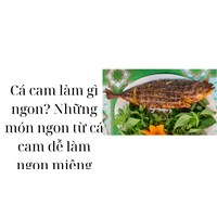 Cá cam làm gì ngon? Những món ngon từ cá cam dễ làm ngon miệng