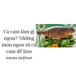 Cá cam làm gì ngon? Những món ngon từ cá cam dễ làm ngon miệng